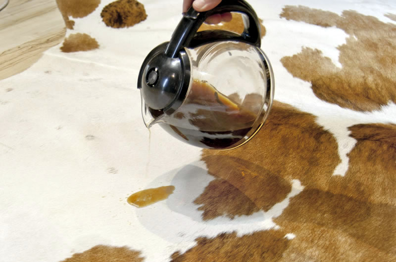 cowhide rug spill coffee