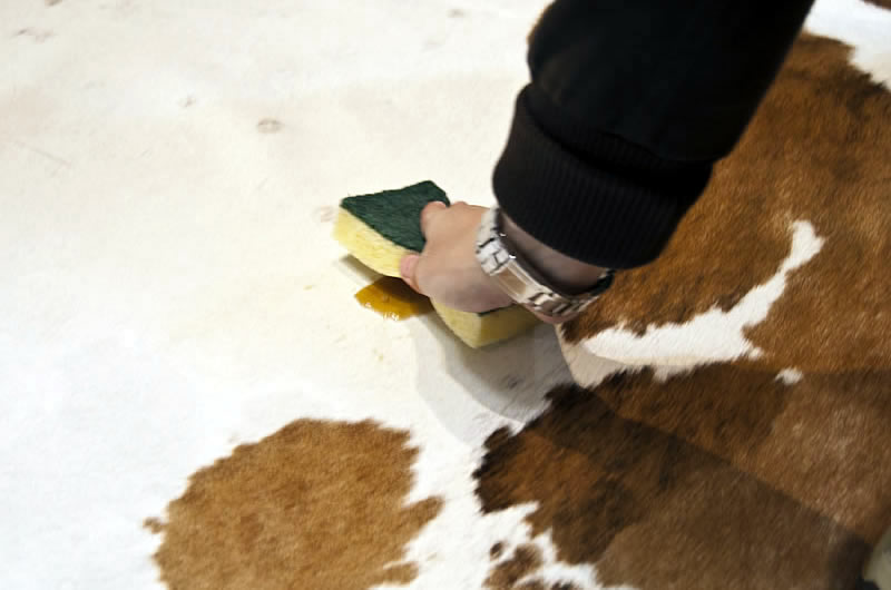 cowhide rug soak spill