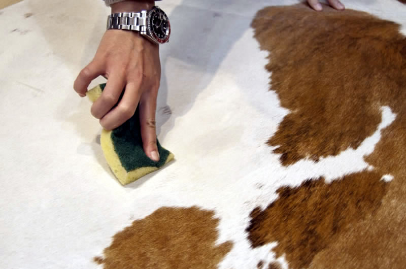 wipe clean the cowhide rug